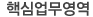 핵심업무영역